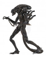Aliens Action Figure 23 cm Ultimate Warrior